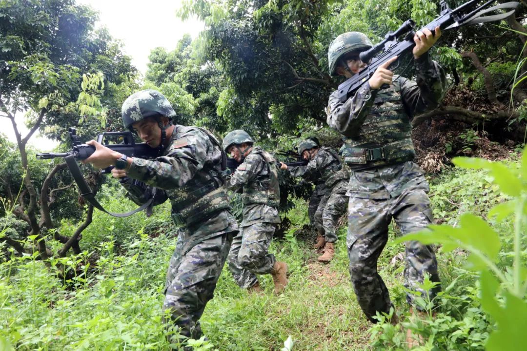 杀!直击武警各部队火热练兵现场|武警_新浪财经_新浪网