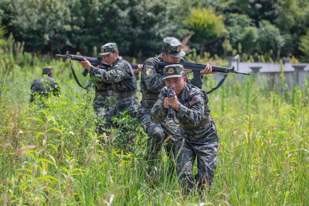 直击武警各部队火热练兵现场|武警_新浪财经_新浪网