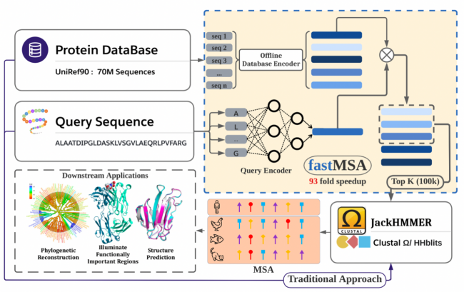 　　图为fastMSA整体流程