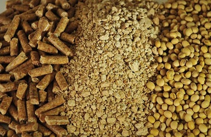 动植物检疫关于进口赞比亚豆粕植物检疫要求的公告解读