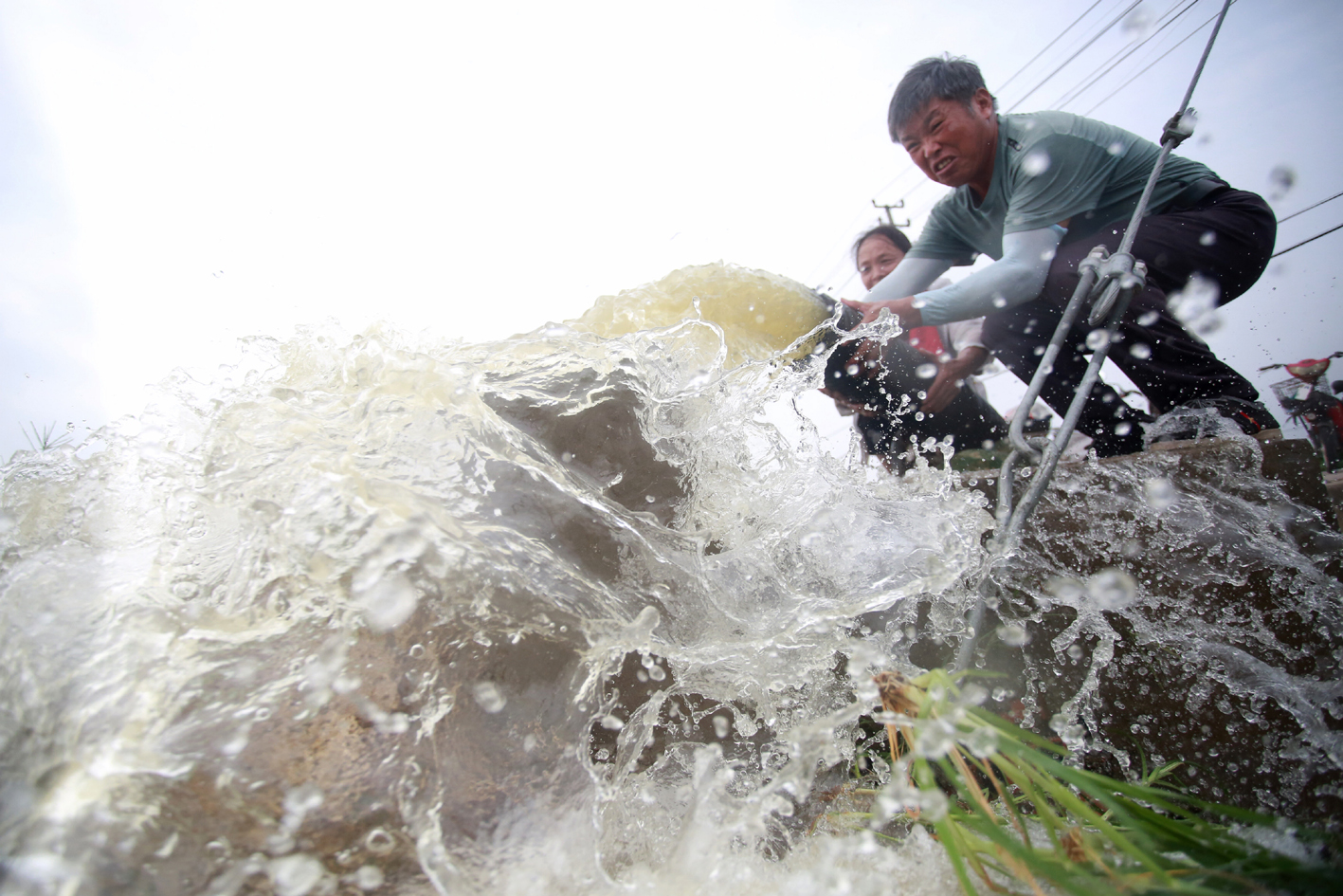 图为江都区的一处稻田,农民抽水灌溉农田.