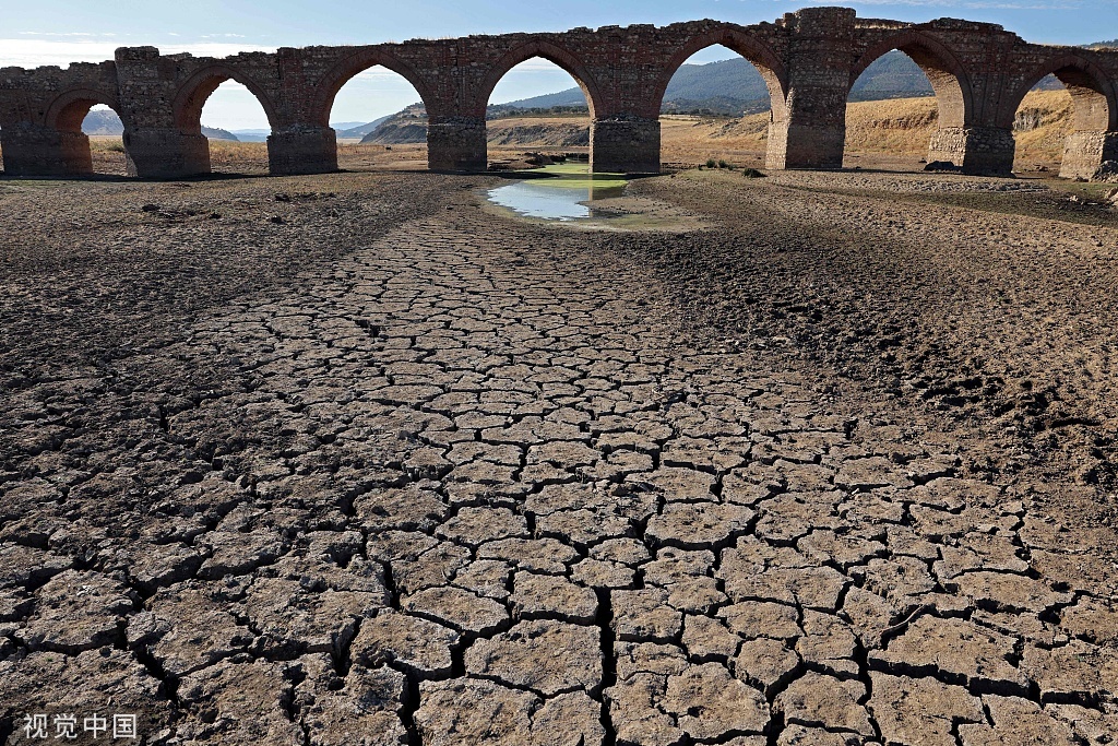 8月16日，西班牙埃斯特雷马杜拉中西部地区，瓜迪亚纳河部分干涸。图源：视觉中国