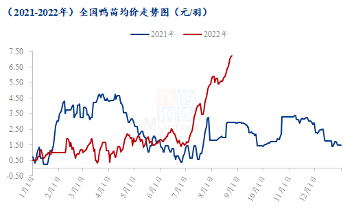 数据来源:钢联数据