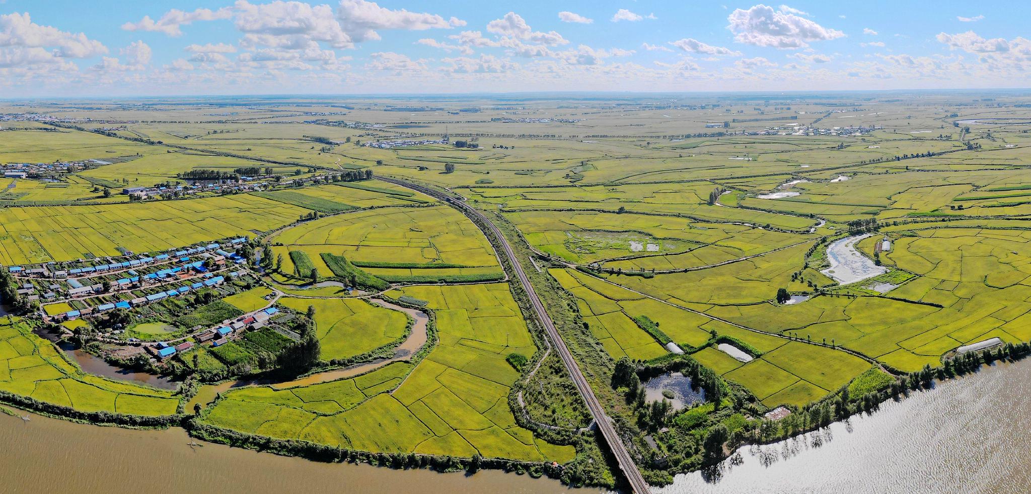 牤牛河畔,丰收可期