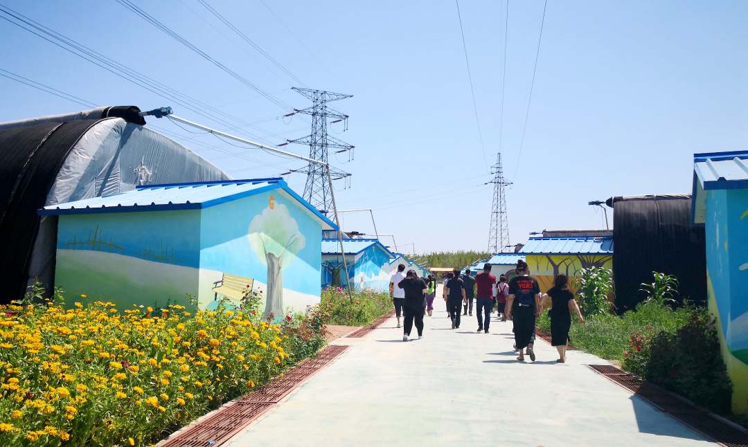 河北固安“农场经济”拓宽农民致富路_新浪财经_新浪网