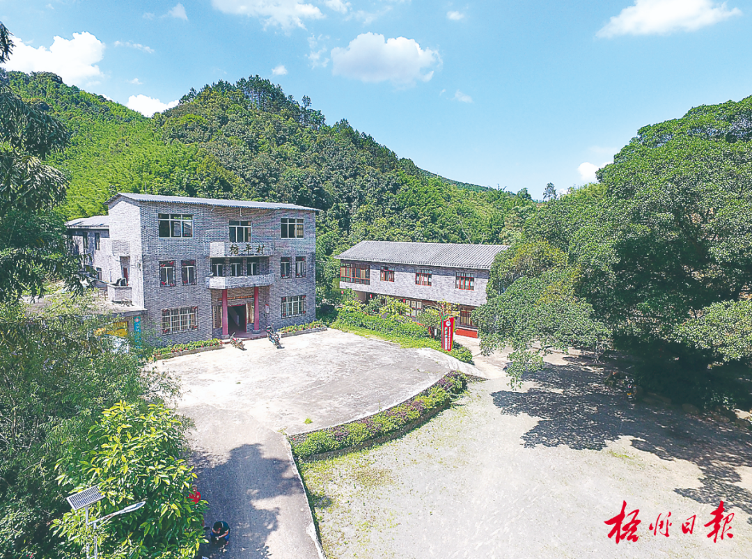 苍梧县六堡镇塘平村 潘珊 摄