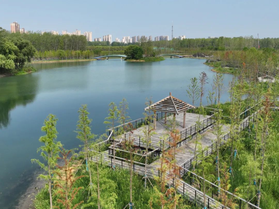 占地约1300亩大圩生态湿地.