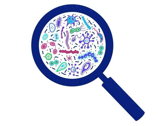 你会正确洗手吗?|细菌_新浪财经_新浪网