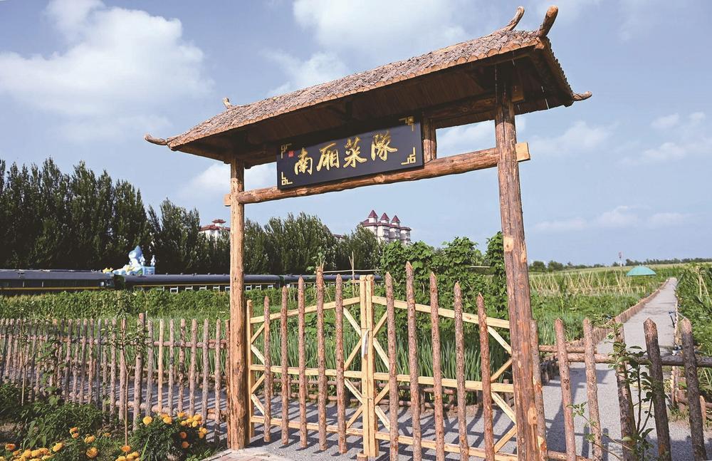 城市菜园续农耕乐活市民