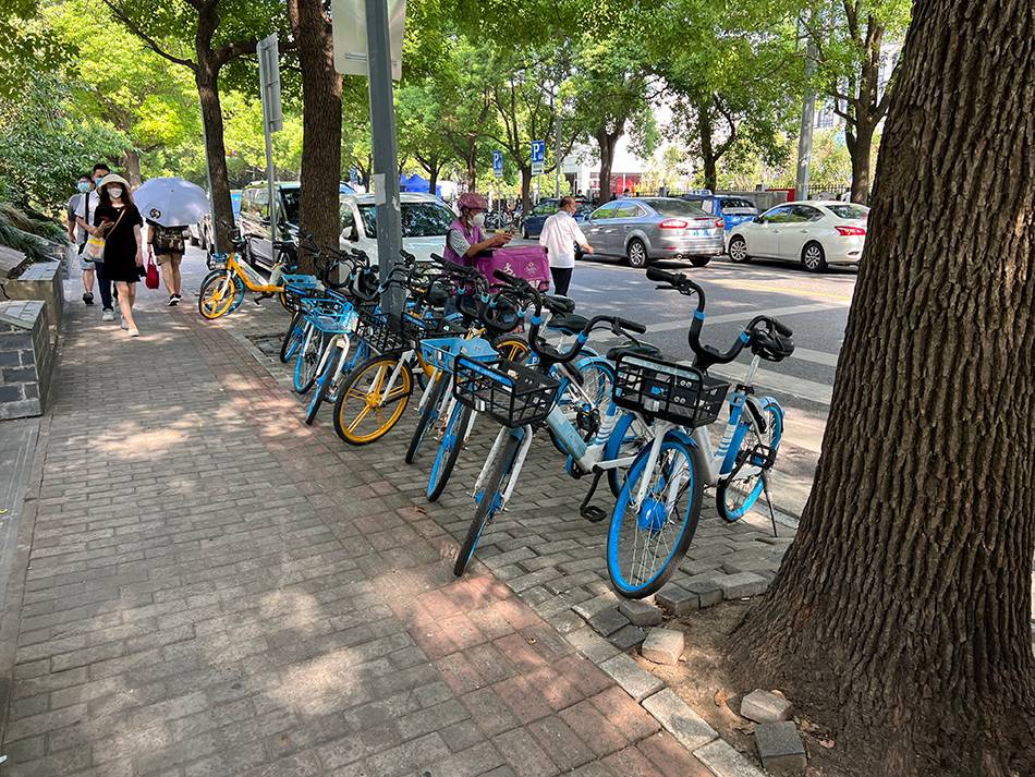 上海街头的共享单车 澎湃新闻记者 陈逸欣 摄&nbsp