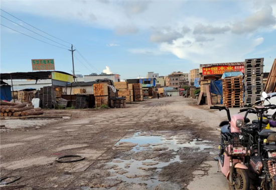 (广州杨屋木材市场 财联社记者任超宇摄)