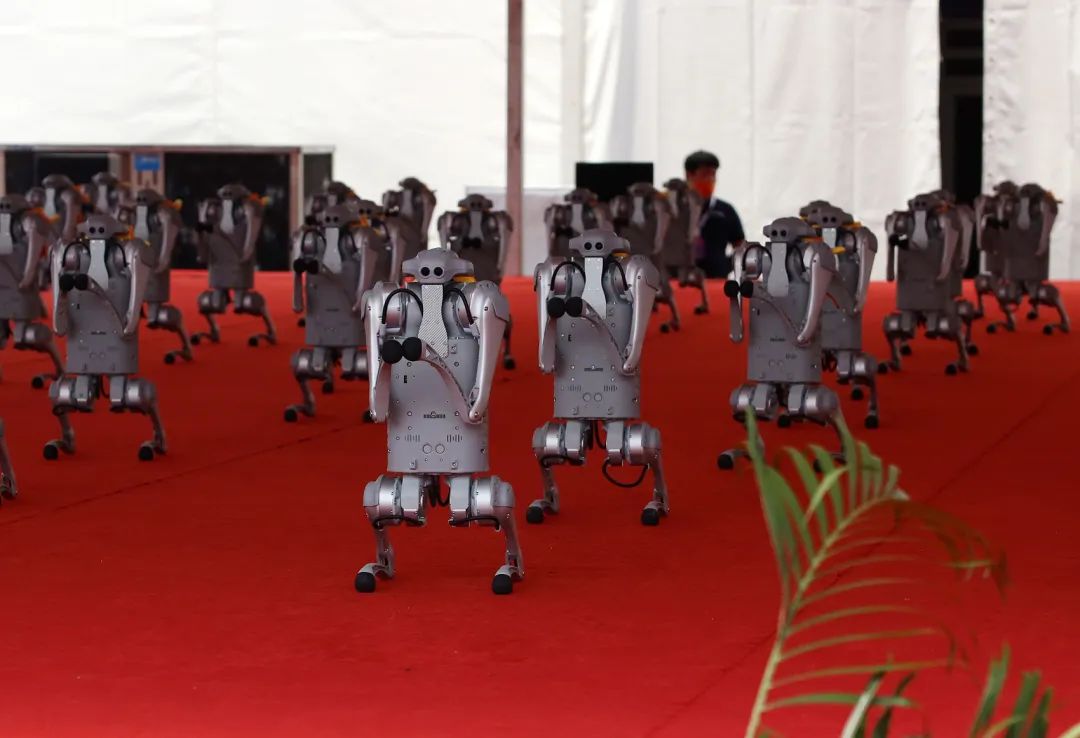 2022世界机器人大会，宇树科技展出了130台“机器虎”/视觉中国