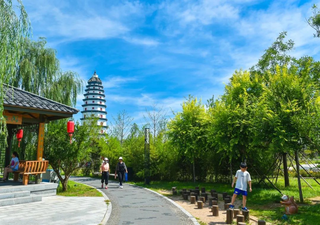 雄安郊野公园沧州园内.河北日报记者李东宇摄