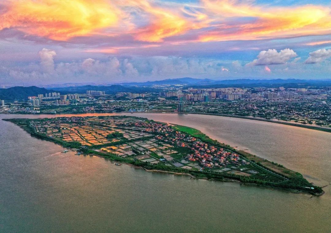 8月10日,南海区九江镇海寿岛,与天空中的云彩构成一幅温馨宁静的画面.