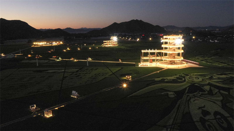 8月26日拍摄的稻田夜景(无人机照片).新华社发(刘满仓 摄)