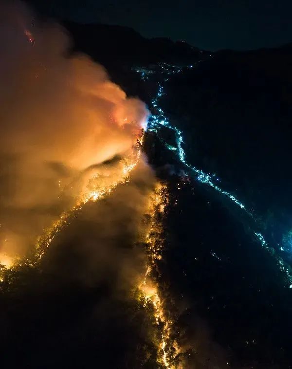 图片来源：重庆晨报（周瑄 摄）