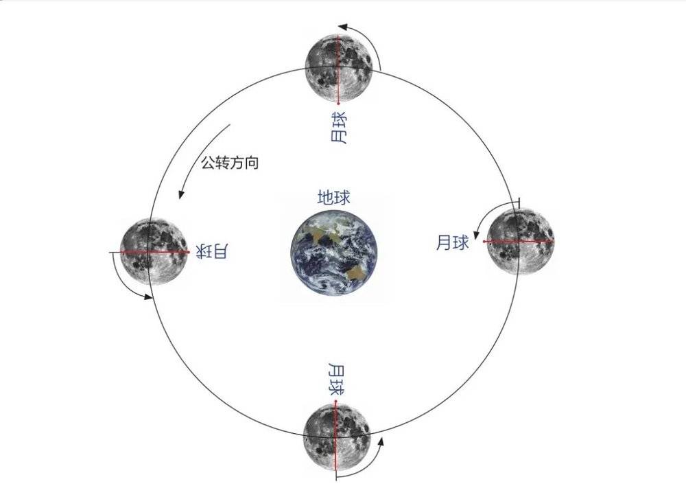 月球潮汐鎖定示意圖