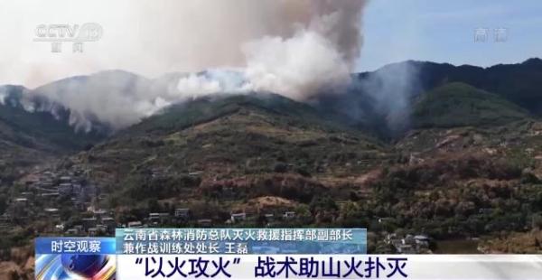 2万余人阻击重庆山火如何取得胜利？央视总结决定性措施：以火攻火！|重庆市|森林火灾|扑灭|灭火救援|灭火_手机新浪网