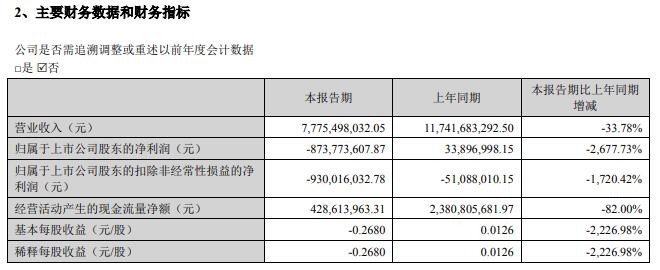 截图来源：欧菲光半年报