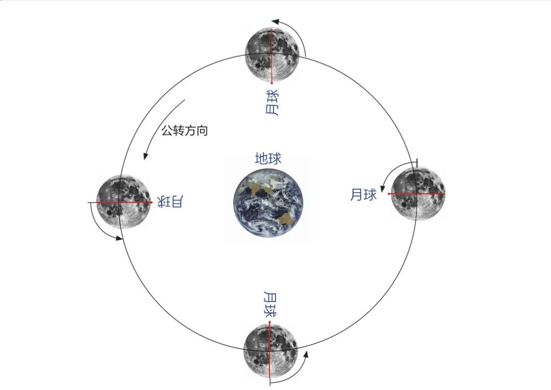 月球潮汐锁定示意图