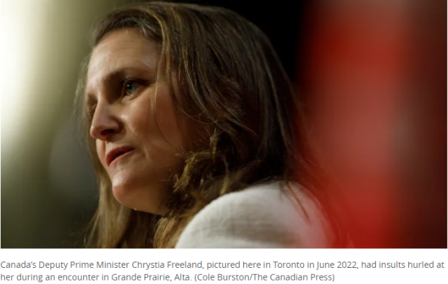加拿大副总理被骂“叛徒”视频在网上流传，特鲁多：不可接受