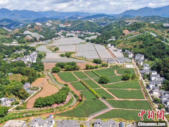 图为8月26日,航拍位于江西省赣州市寻乌县文峰乡的幸福小镇智慧蔬菜