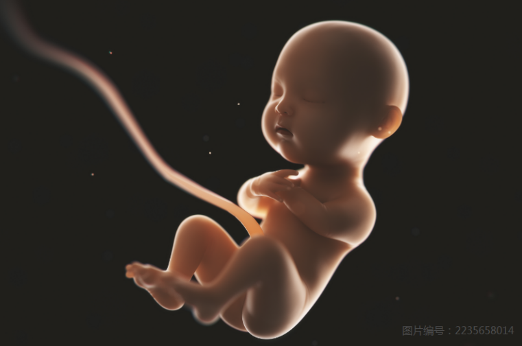宫角妊娠b超诊断报告图片