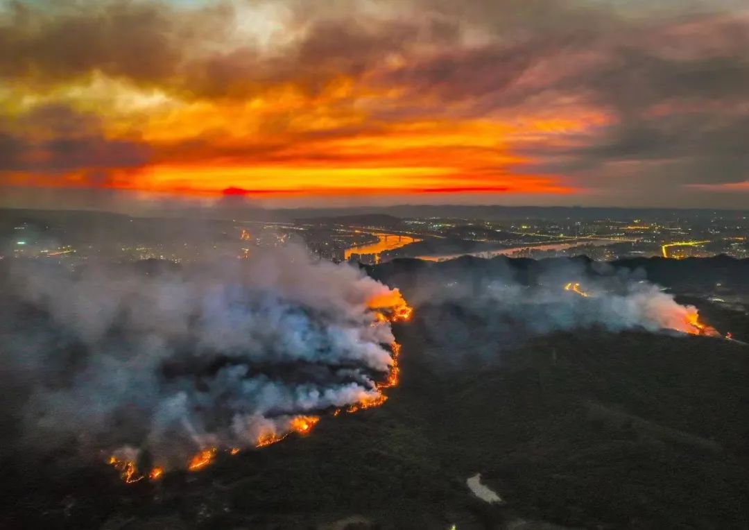 深读| 奔向重庆山火的环保人:"火灭的那刻大家相拥而泣"|志愿者_新浪