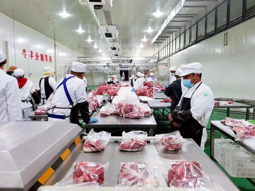 资金,规划面积近67000平方米的禄劝县首家专业牛羊屠宰基地正式投产