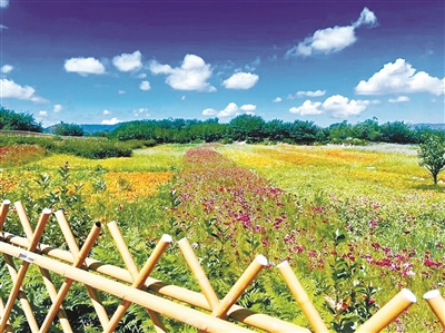 日前,位於餘姚大嵐鎮南嵐村