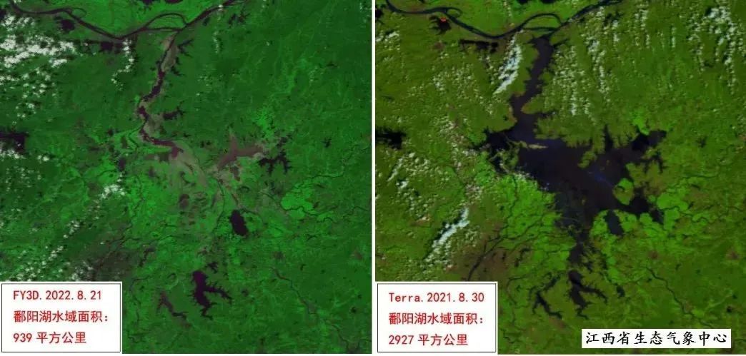 2022年8月鄱阳湖水域面积与2021年8月对比图