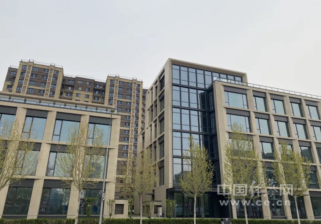 中国经济网资料 图彭金美摄