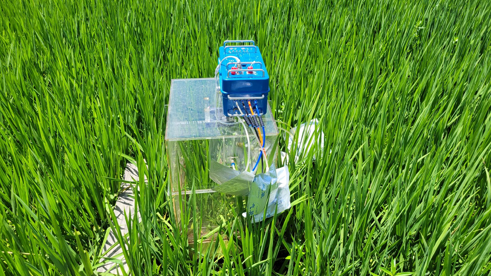 根据我国最新向联合国提交的温室气体排放清单数据,农业生产过程向