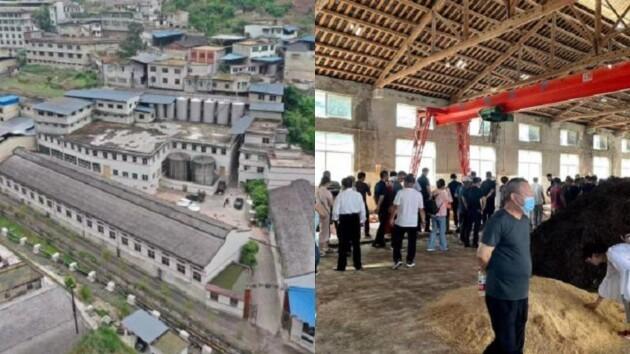 　　(贵州极品酒业)