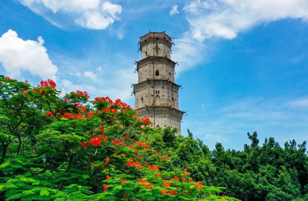 "看透"湛江地标|湛江市_新浪财经_新浪网