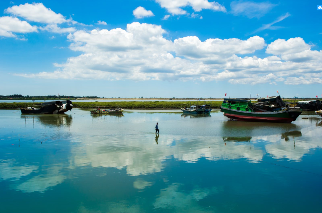 徐闻县和安镇红树林&nbsp; 陈北跑 摄