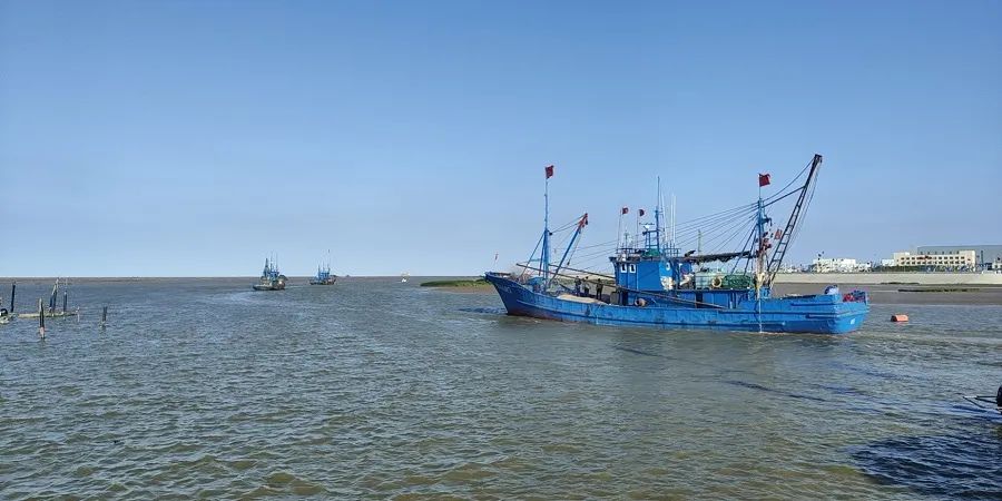 沧州黄骅市南排河镇中心渔港码头.黄骅市融媒体中心 赵俊杰 摄
