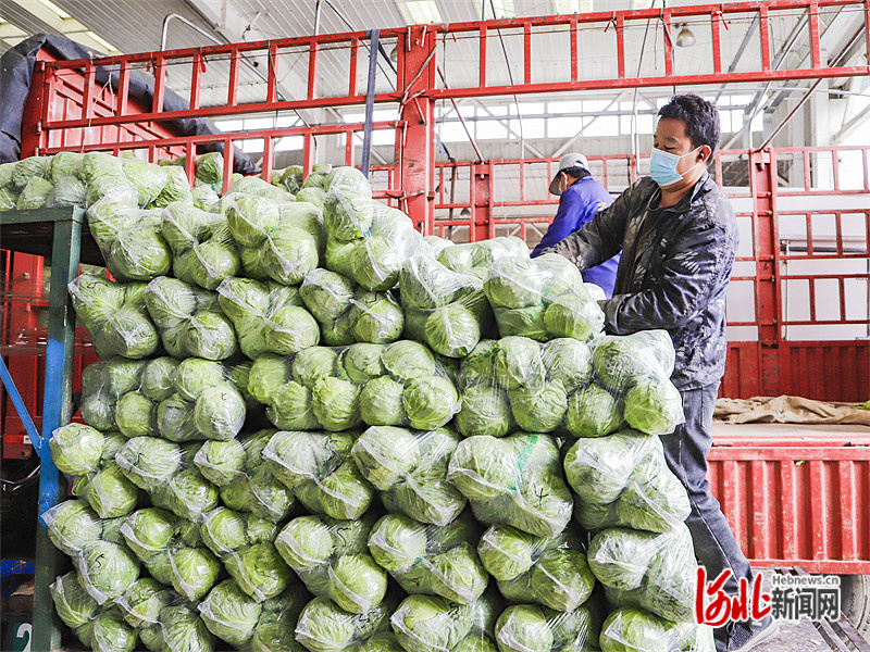 图为市场内蔬菜在装车.