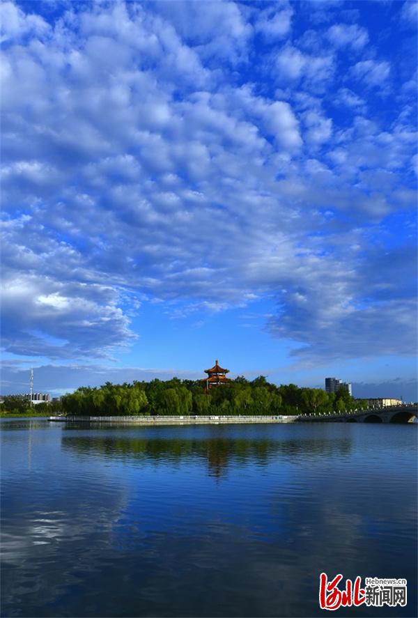 今天上午,京杭大运河沧州中心城区段旅游通航