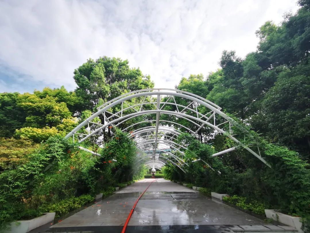 长宁的"sw绿道",改造后全新亮相!|飞天_新浪财经_新浪网