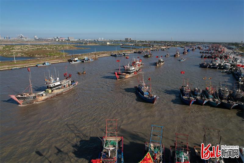 站在黑沿子码头远眺,千帆竞发,出海追"鲜",一派繁忙 . 通讯员刘浩学摄