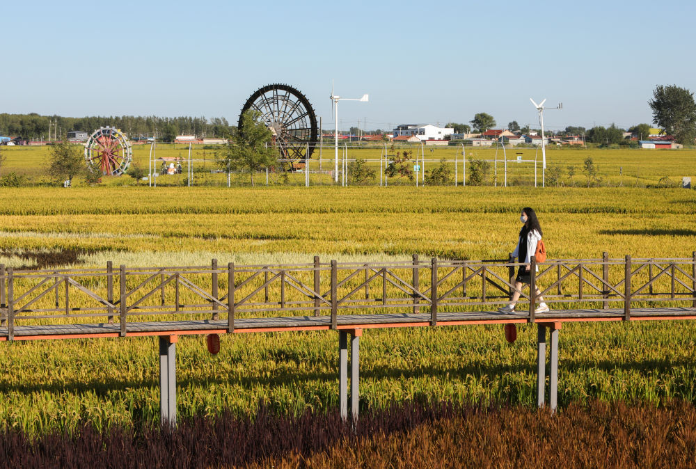 9月1日,游客在"稻梦空间"景区游玩.新华社记者 杨青 摄