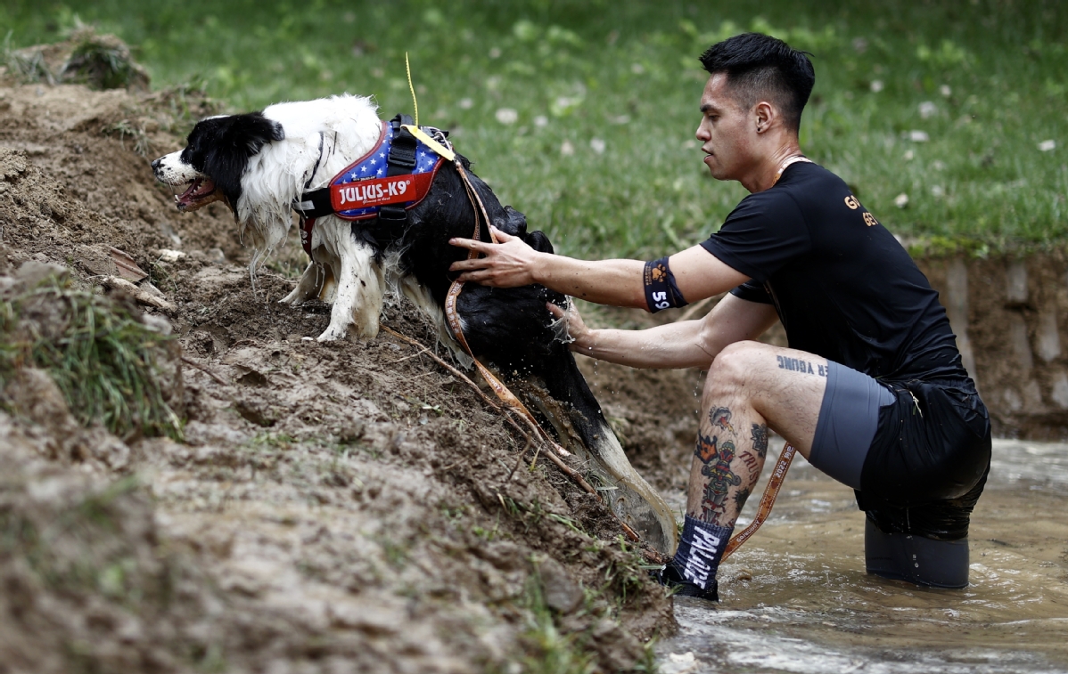 9月3日，主人与爱犬一起通过水坑。中国日报记者 魏晓昊 摄