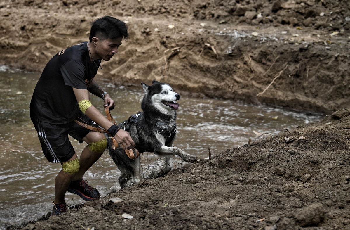 9月3日，主人与爱犬一起通过水坑。中国日报记者 魏晓昊 摄