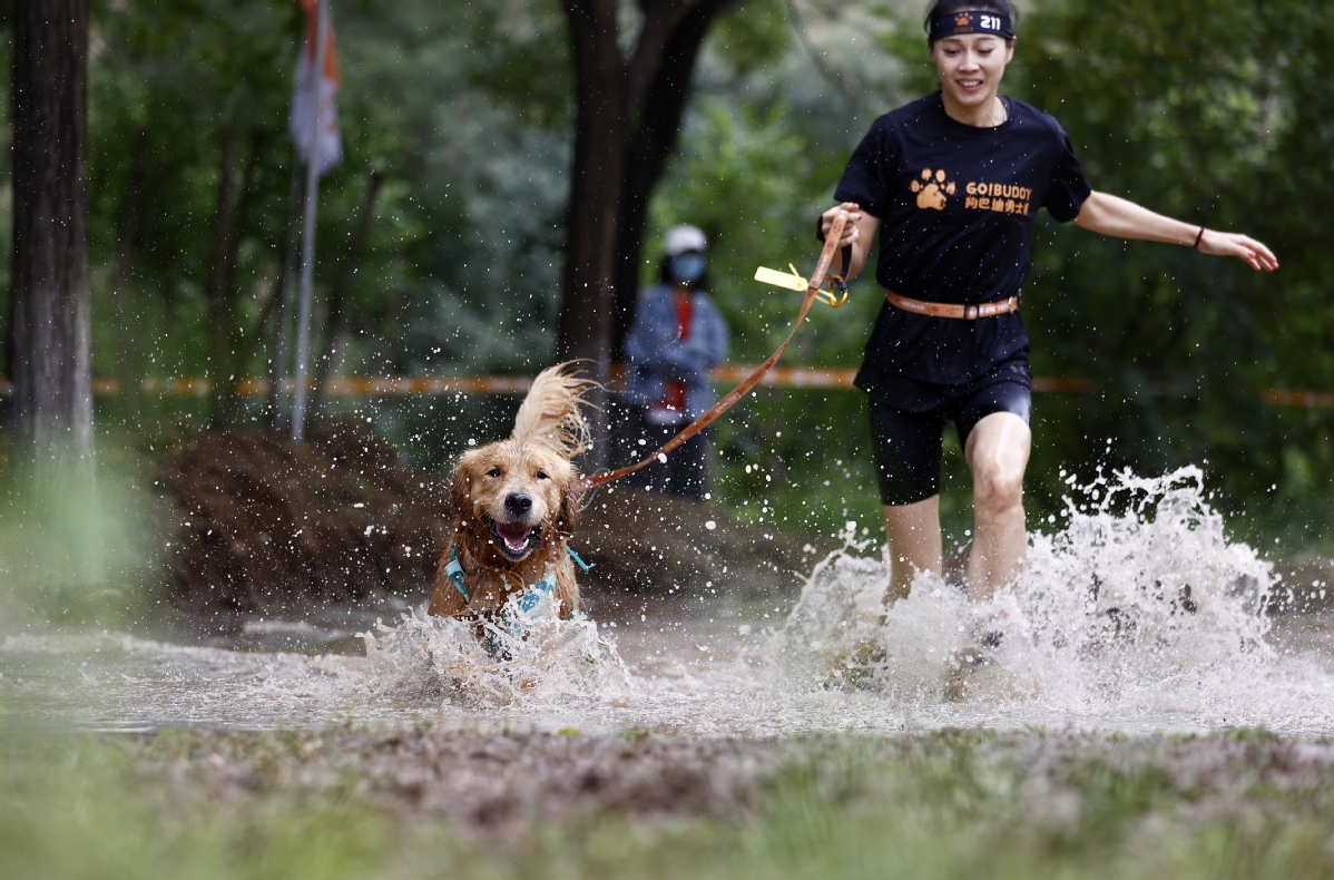 9月3日，主人与爱犬一起通过水坑。中国日报记者 魏晓昊 摄