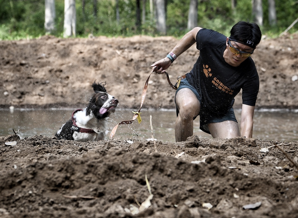 9月3日，主人与爱犬一起通过水坑。中国日报记者 魏晓昊 摄