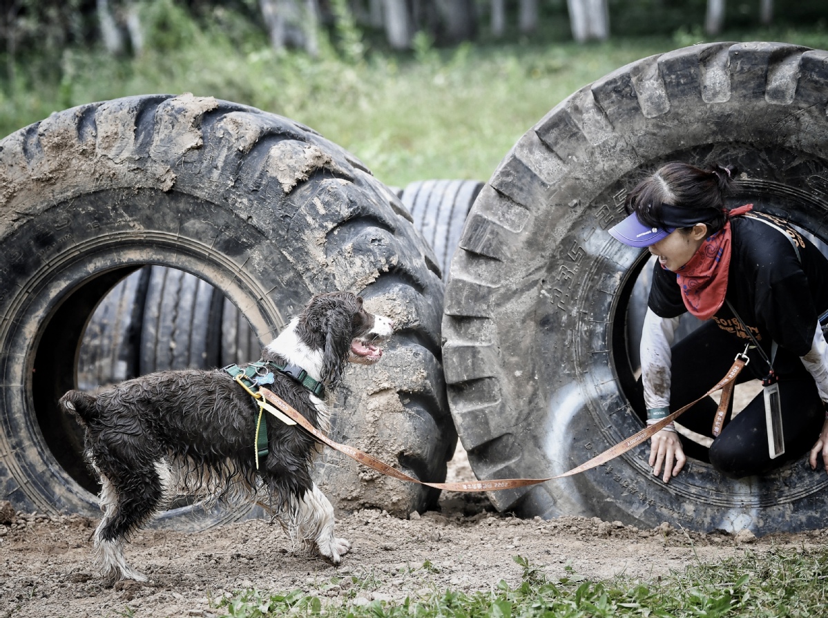 9月3日，主人与爱犬一起穿过障碍。中国日报记者 魏晓昊 摄