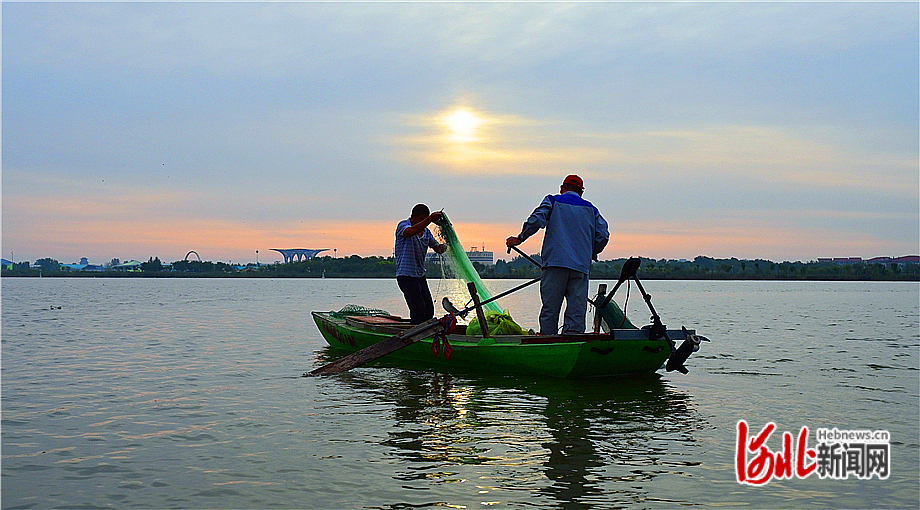 9月3日清晨,渔民在衡水湖撒网捕鱼. 河北日报记者焦磊摄