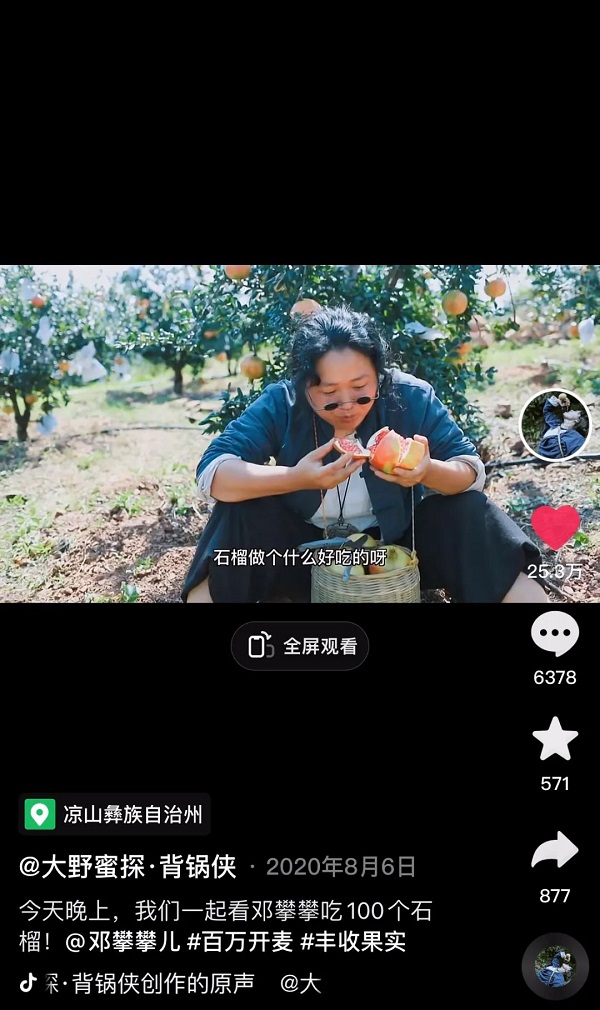 　　考察果园时的锅锅
