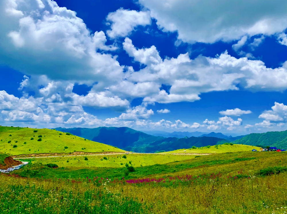 放眼望去,高山草甸碧绿平坦,微风中散发着野花的芳香.(何成伟 摄)